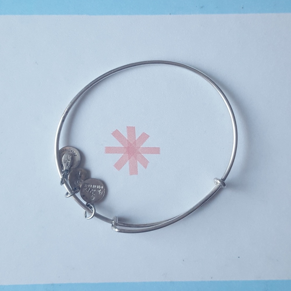 ALEX AND ANI ADJUSTABLE SILVER PLAIN BRACELET